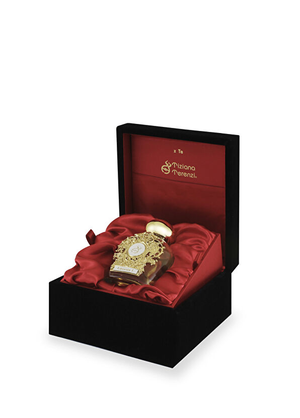 Tiziana Terenzi Assoluto Leonis EDP 100 ml Parfüm - 2