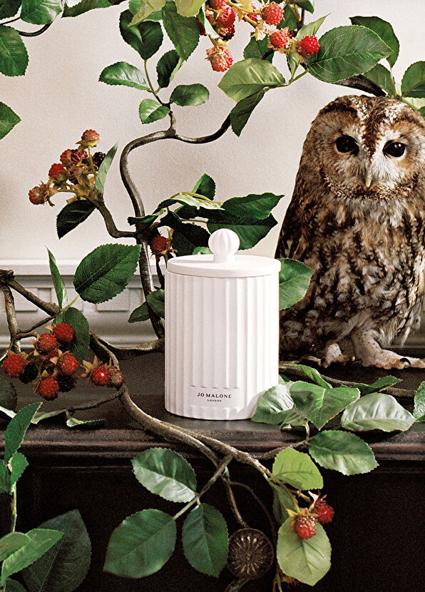 Jo Malone London Lilac Lavender & Lovage Townhouse Mum 300g - 2