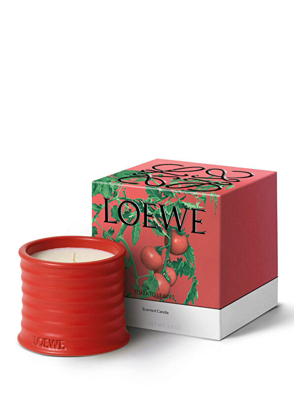 Loewe Tomato Leaves 170 gr Mum - 2