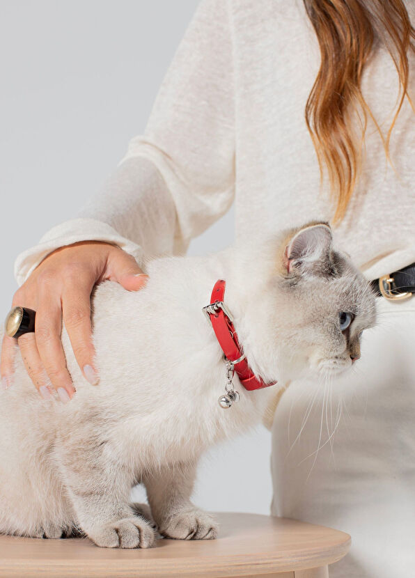 Zoe Pet Atelier Red Leather Rattle and Heart Detailed Cat Collar - 2