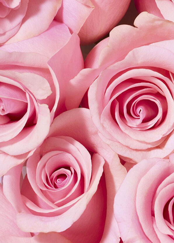 Nuxe Very Rose Gül Özlü Duş Jeli 750 ml - 3