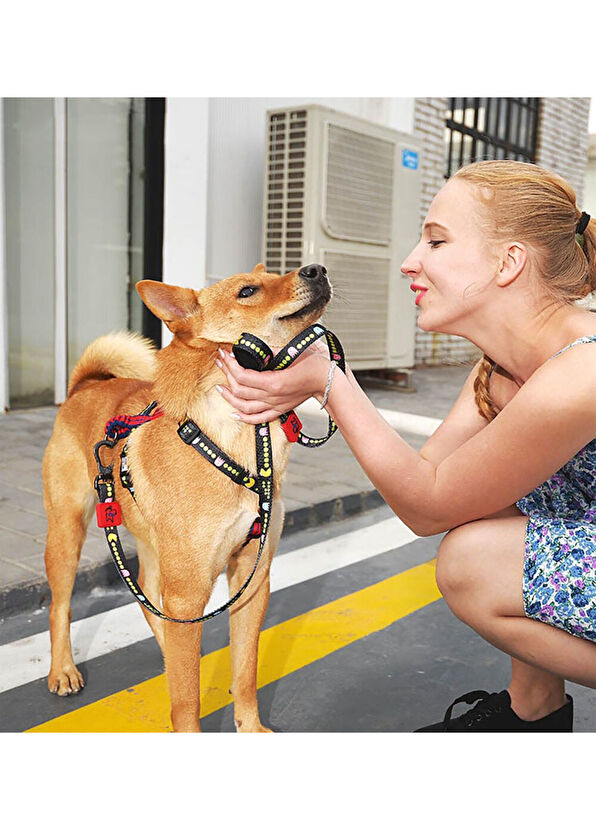 Spacedogs Ispet Pacman Spider Model Köpek Tasması - 2
