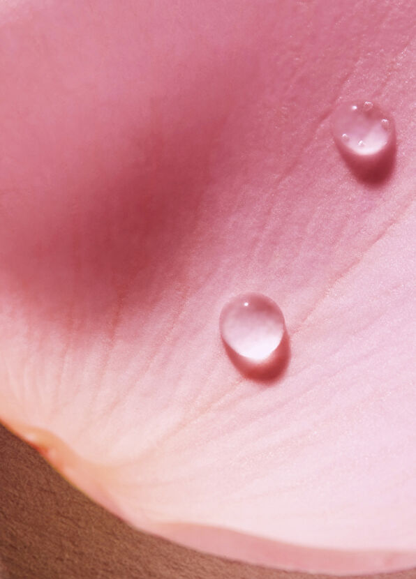 Nuxe Very Rose Edp Kadın Vücut Spreyi 100 ml - 3