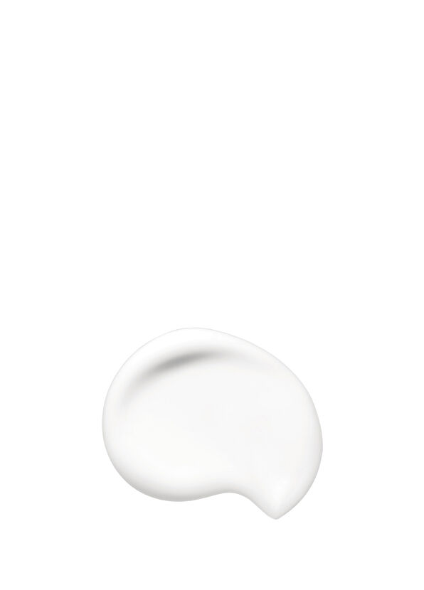 Shiseido Synchro Skin Soft Blurring Primer - 2