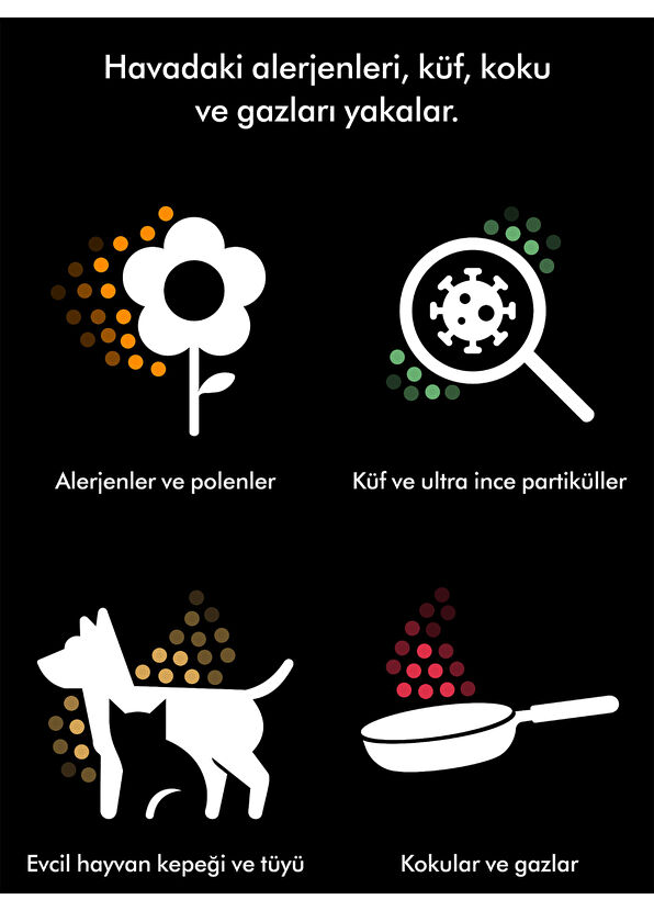 Dyson HushJet™ Compact Air Purifier (Black/Turquoise) - 2