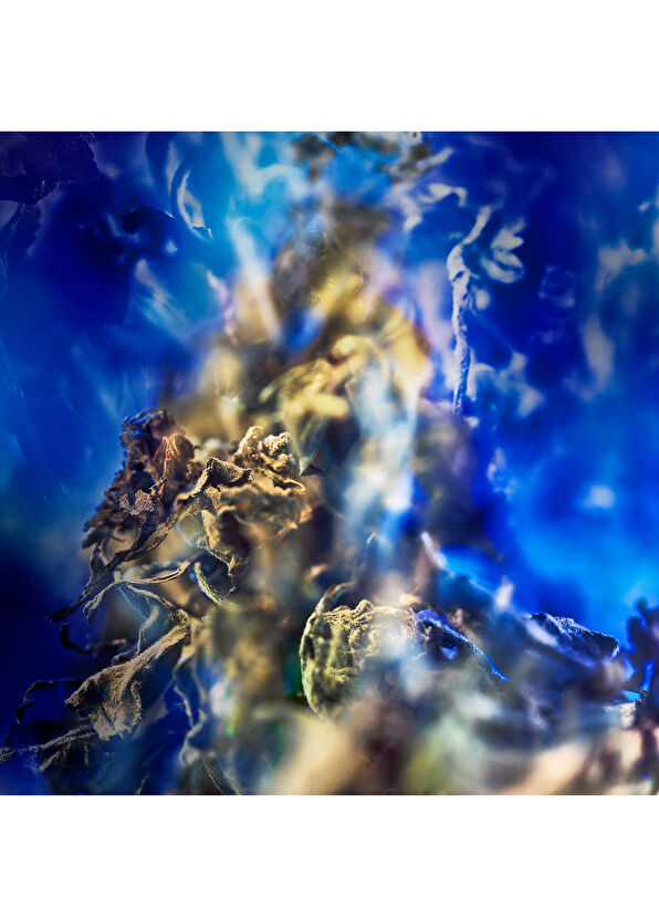 Bvlgari Le Gemme Gyan EDP 60 ml Unisex Parfüm - 2