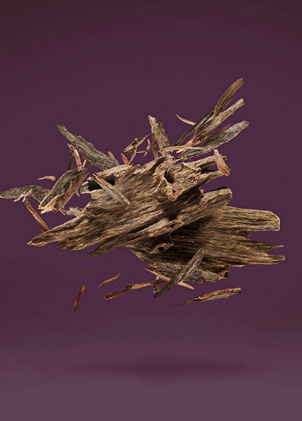 Xerjoff Oud Kampuchea Noire Perfume Extract 15 ml - 3