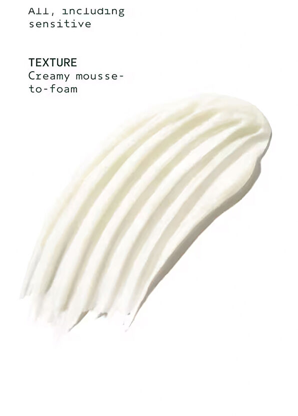 Aveda Micro-Purifying Cleansing Mousse 150 ml - 2