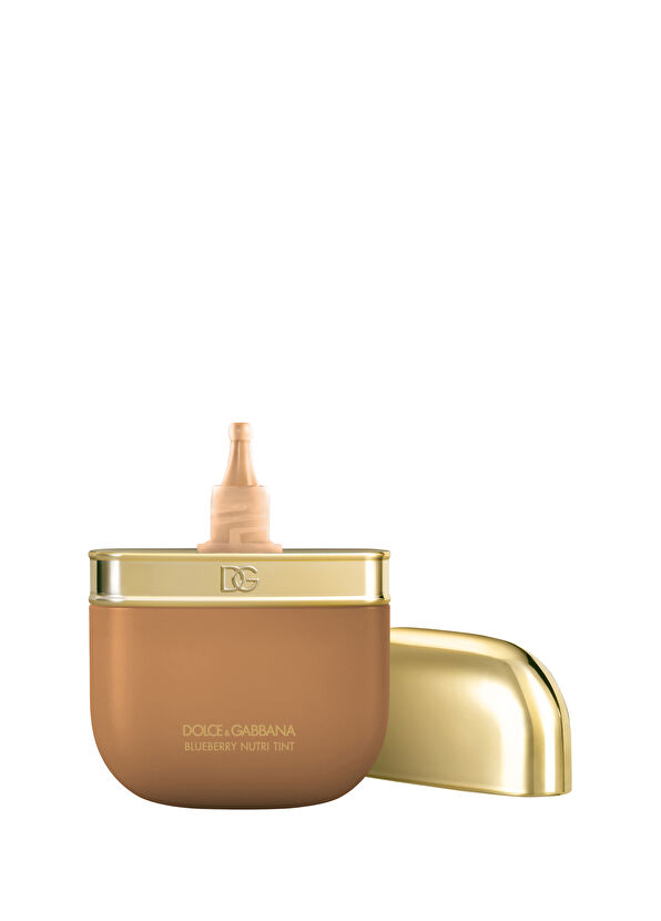 Dolce&Gabbana Blueberry Nutri Tint 21W - 1