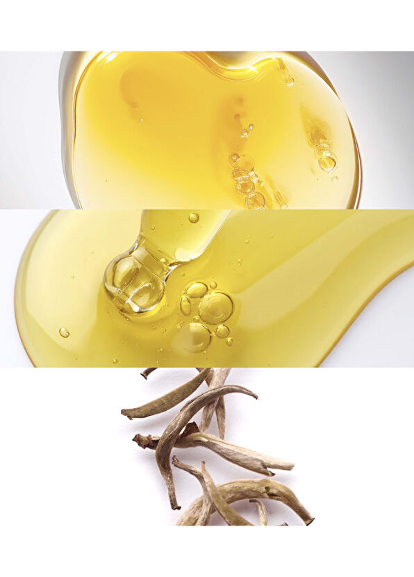 Noble Panacea The Absolute Intense Renewal Serum 30 Dose REFILL - 3