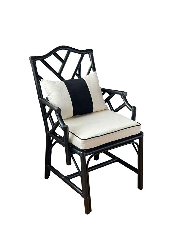 Bee Interiors Classy Bamboo Tree Black Armchair - 2