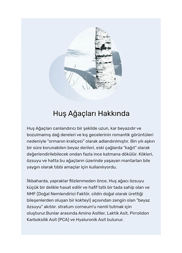 Round Lab Birch Juice Sunscreen Nemlendirici Leke Önleyici Huş Özlü Güneş Kremi 50 ml - 3