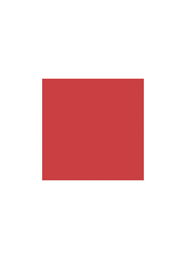 Yves Saint Laurent Loveshine RVS 210 Ruj - 2