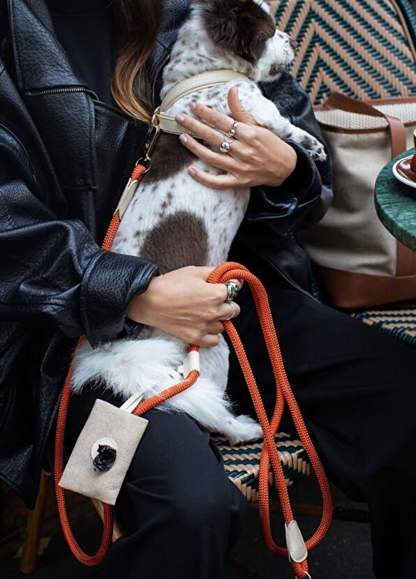 Zoe Pet Atelier Beige Leather Cross Dog Harness - 2