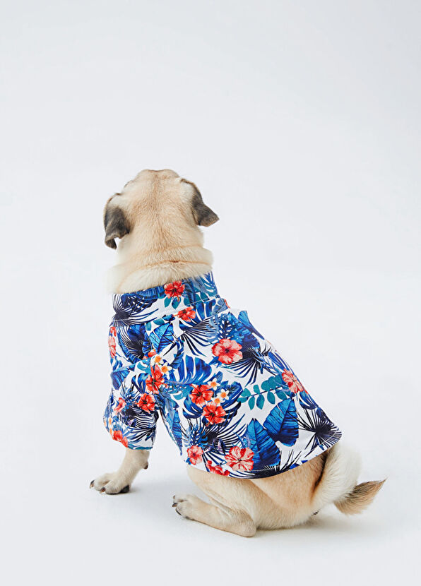 Hypet Fashion Hawaii Pamuklu Köpek Gömlek - 4