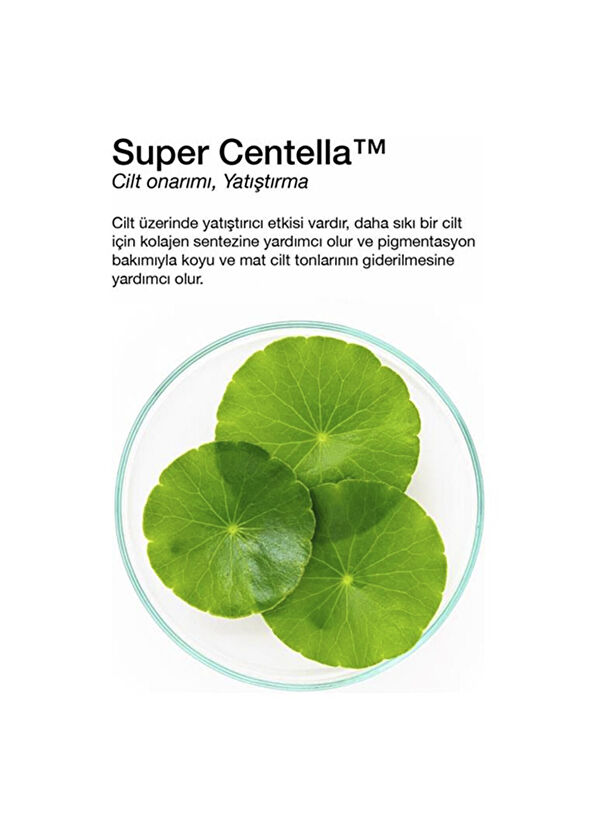 Dermal Madecassoside Kuru ve Yorgun Ciltler İçin Nemlendirici ve Canlandırıcı Kore Maskesi 23 gr 5 Adet - 2