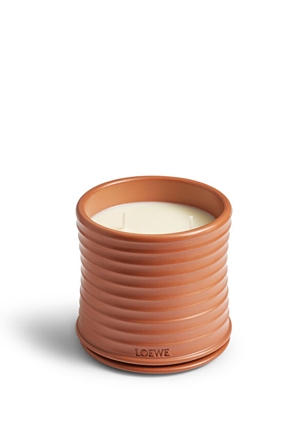 Loewe Medium Lid - 1