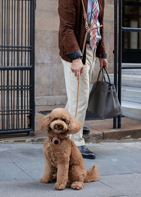 Zoe Pet Atelier Brown Tan Paracord and Leather Hands-Free Dog Harness - 2