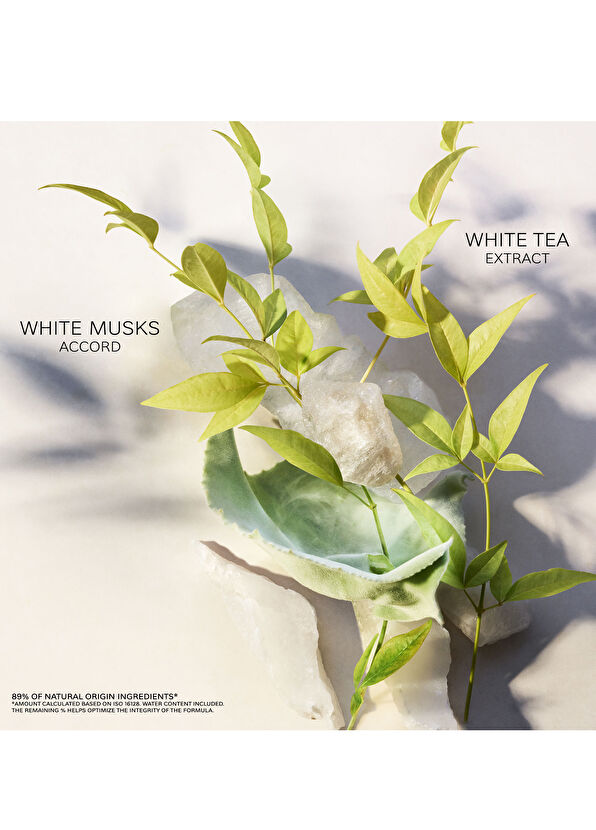 Bvlgari Thé Blanc EDT 75 ml Unisex Parfüm - 4