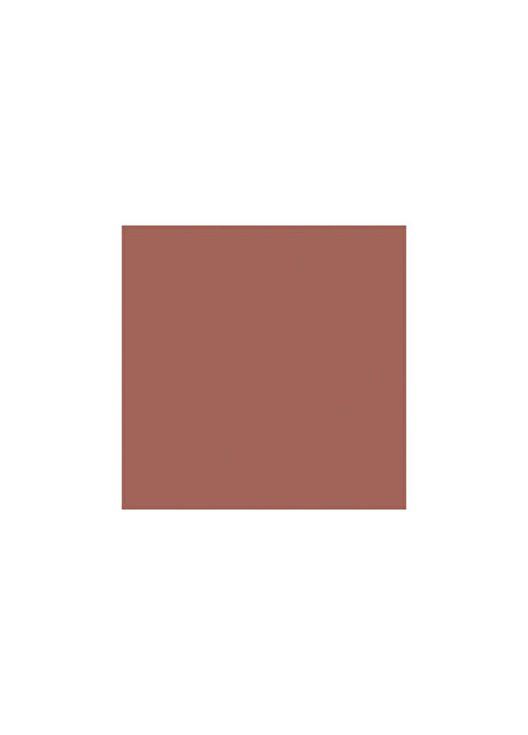 Yves Saint Laurent Loveshine RVS 202 Ruj - 2