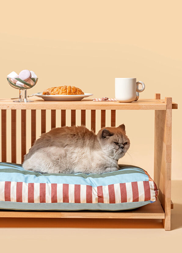Patihaus Orla Masif Ahşap Orta Sehpalı Kedi ve Küçük Irk Köpek Yatağı - 2