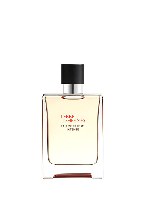 Hermès Terre d’Hermès Eau de Parfum Intense 100 ml - 1