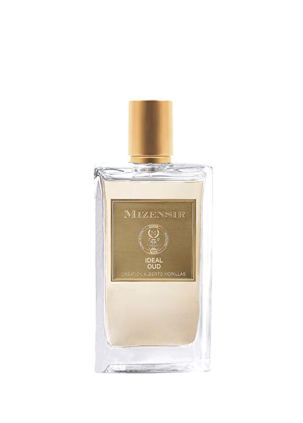 Mizensir Mizensir Ideal Oud 100ml EDP Spray - 1