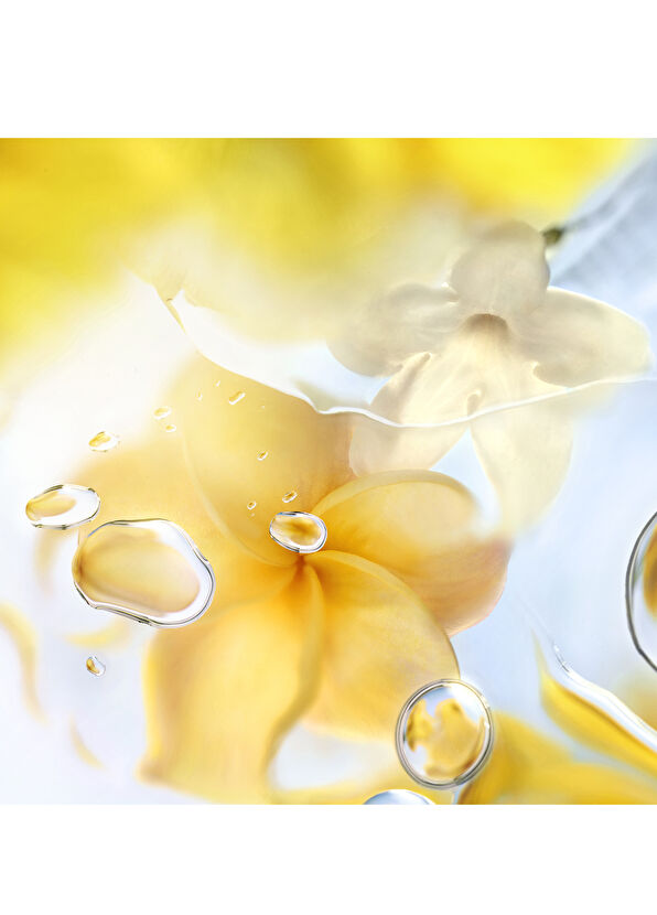 Lancome Les Ô Zenith EDT 100 ml Kadın Parfüm - 2