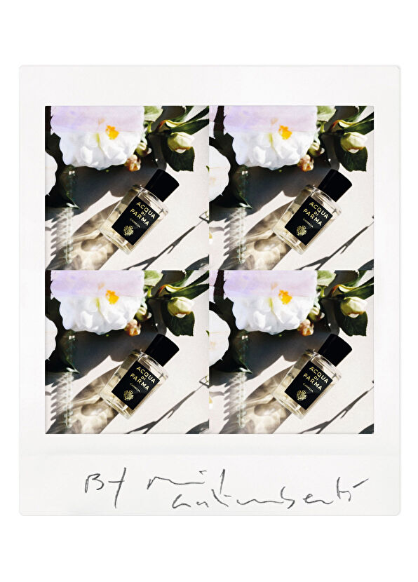 Acqua di Parma Signature Camelia Edp 100ml - 4