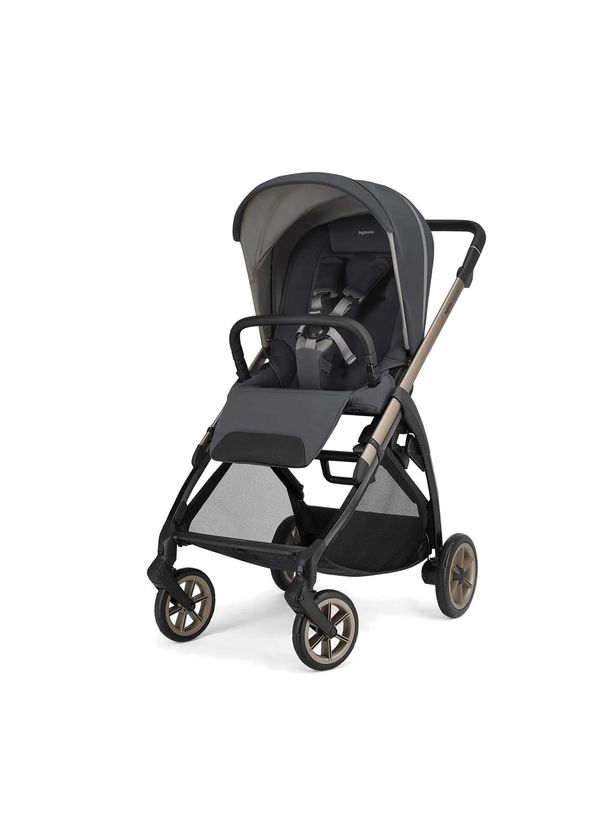 Inglesina Electa Plus Garage Grey Baby Stroller and Darwin Recline Evo 4-Piece Travel System Baby Stroller with Baby Lap - 2