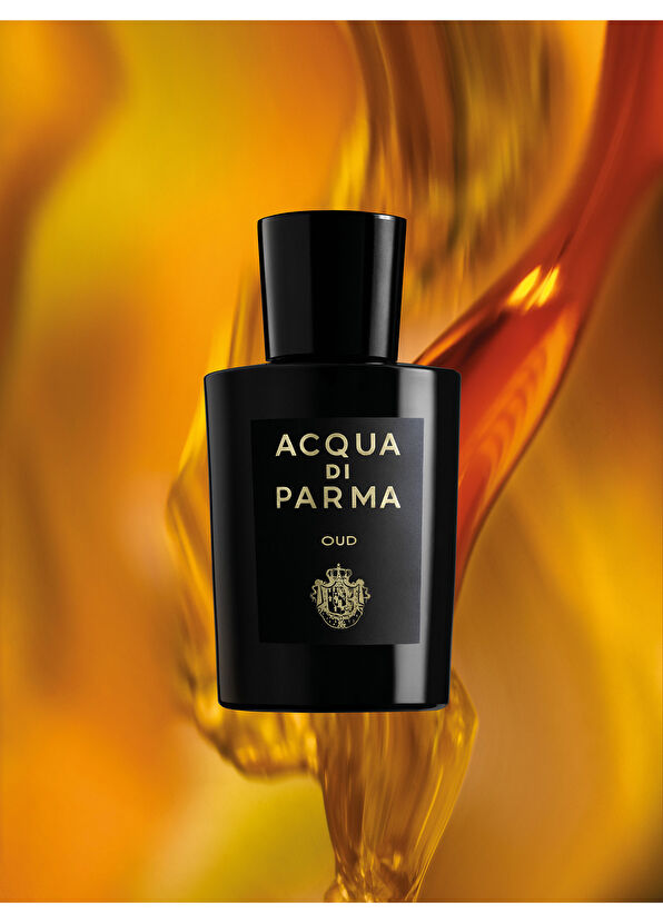 Acqua di Parma Signature Oud EDP 180 ml Parfüm - 4