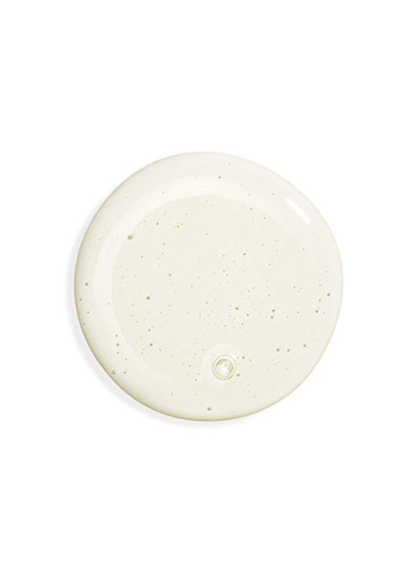 Sisley Gentle Purifying Shampoo WIth Java Tea Extract - 2