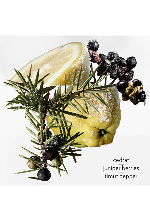 Hermès Terre d'Hermes Eau Givree EDP 50 ml Erkek Parfüm - 4