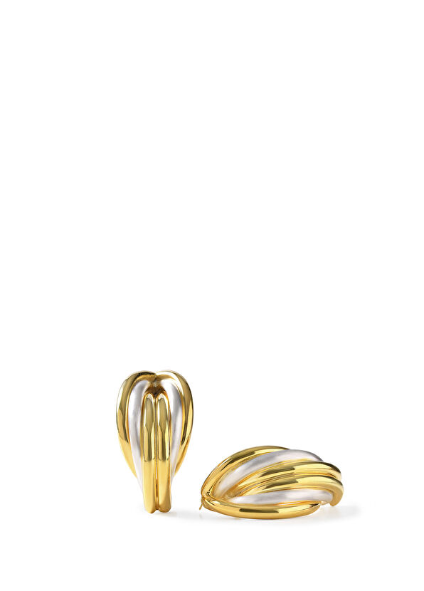 Esra Canikligil Renewal Huge Pipe Kadın Gümüş Küpe - 2