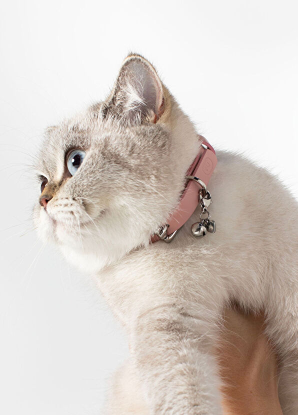 Zoe Pet Atelier Pink Leather Cat Collar - 2