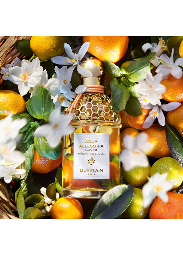 Guerlain Aqua Mandarine Basilic Harvest EDT 125 ml Parfüm - 2