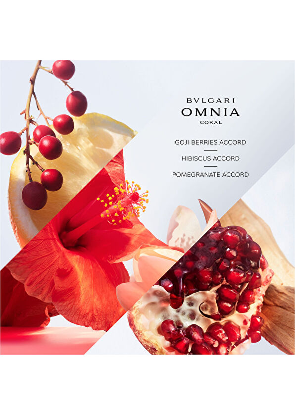 Bvlgari BVL Omnia Coral Edt 100ml Parfüm - 3