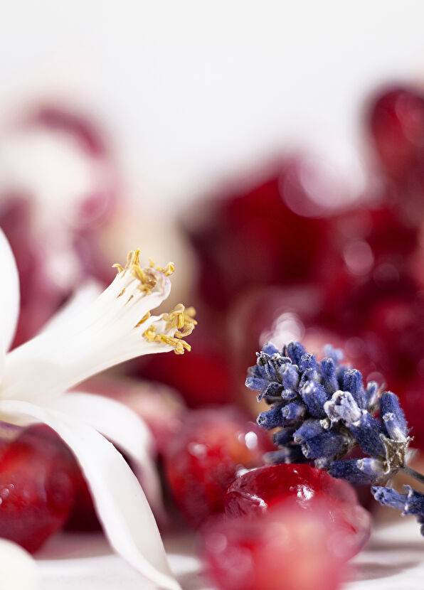 Yves Saint Laurent Libre 30 Ml Hair Perfume - 4