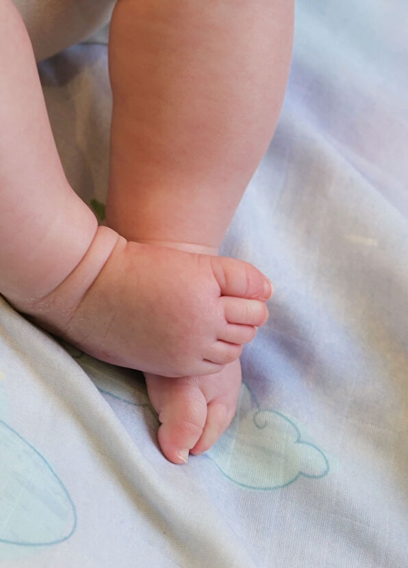 Casadora Baby Astra 100% Organic Cotton 2-Piece Muslin Cover Set - 3