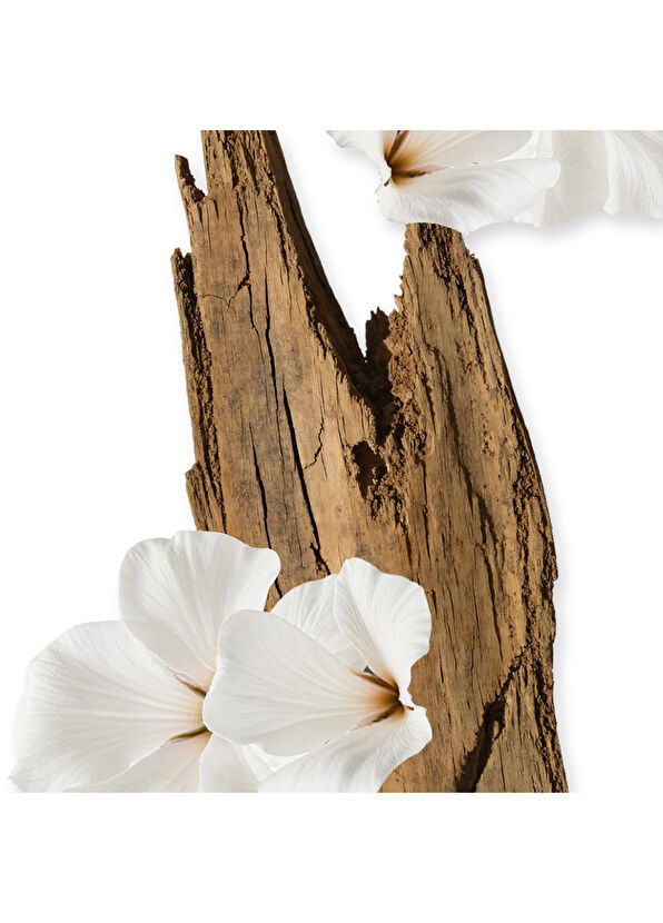 Parfums de Marly Refill Valaya Body Cream 200ml - 2