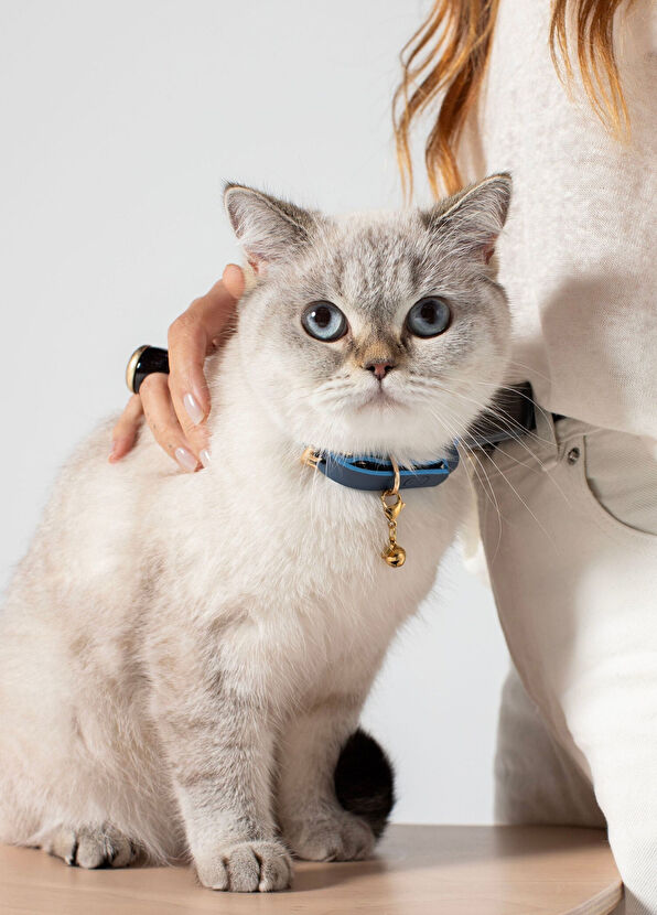 Zoe Pet Atelier Navy Blue Leather Cat Collar - 2