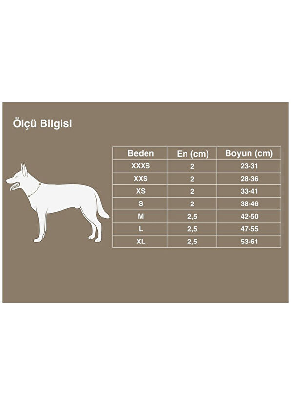 True Love DuraPup Siyah Köpek Boyun Tasması - 4