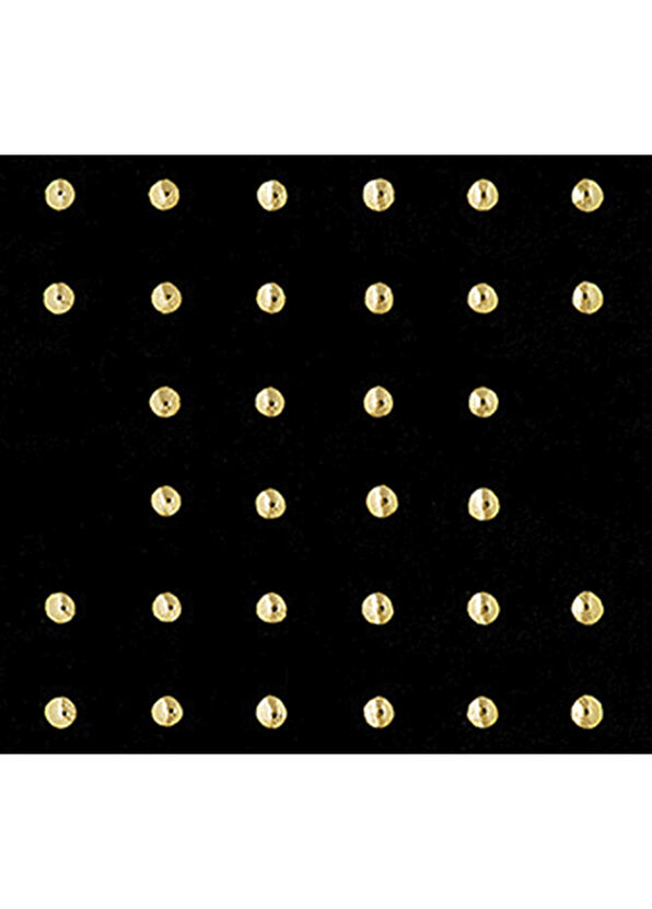 Guerlain Rouge G 24 Lips Case Les Studs - 4