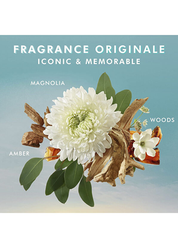 Moroccanoil Fragrance Originale Nemlendirici El Kremi 100 ml - 3