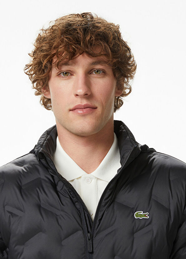 Siyah Regular Fit Dik Yaka Erkek Kapitone Mont - Görsel 3