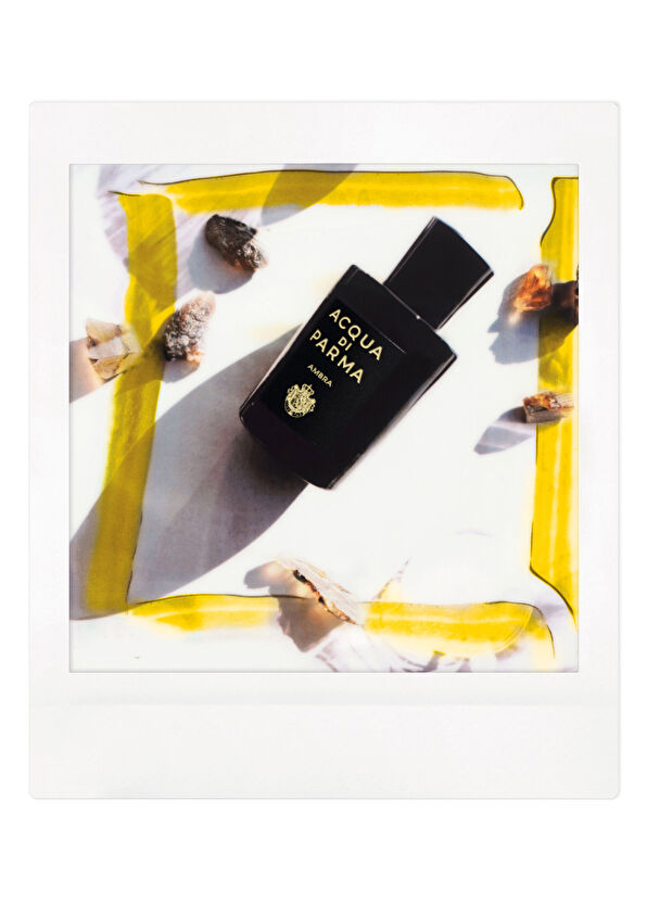 Acqua di Parma Signature Ambra EDP 100 ml Parfüm - 4