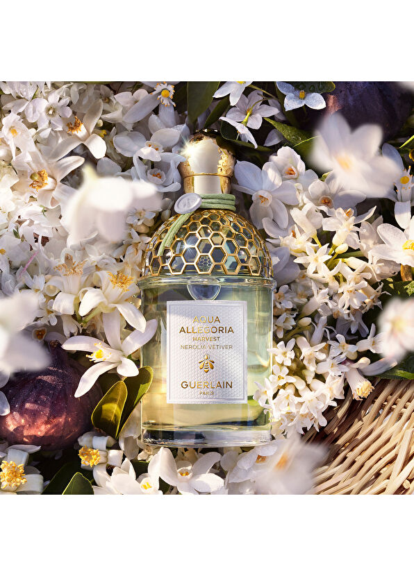 Guerlain Aqua Nerolia Vetiver Harvest EDT 125 ml Parfüm - 2