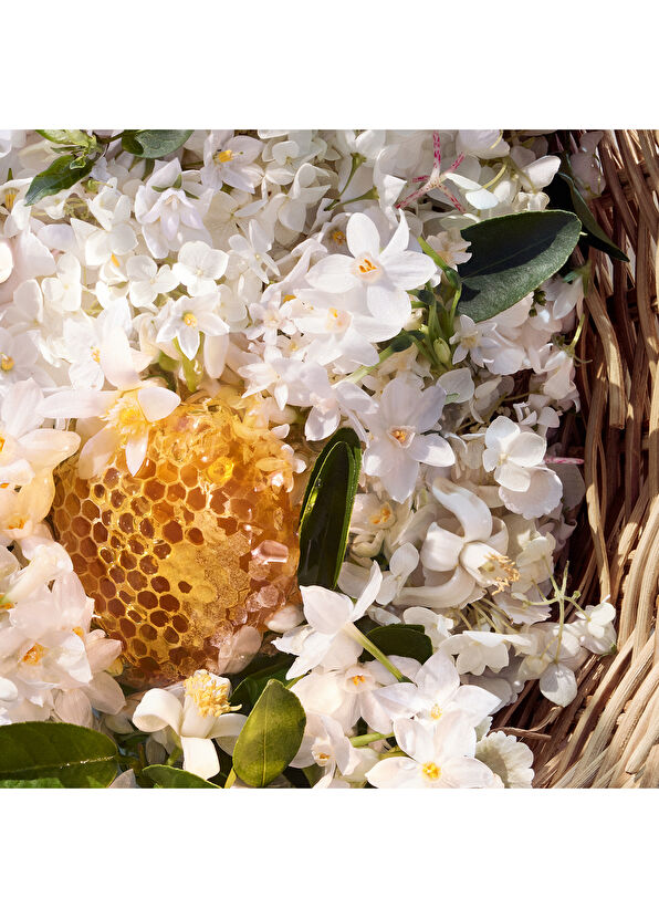 Guerlain Aqua Nerolia Vetiver Harvest EDT 125 ml Parfüm - 3