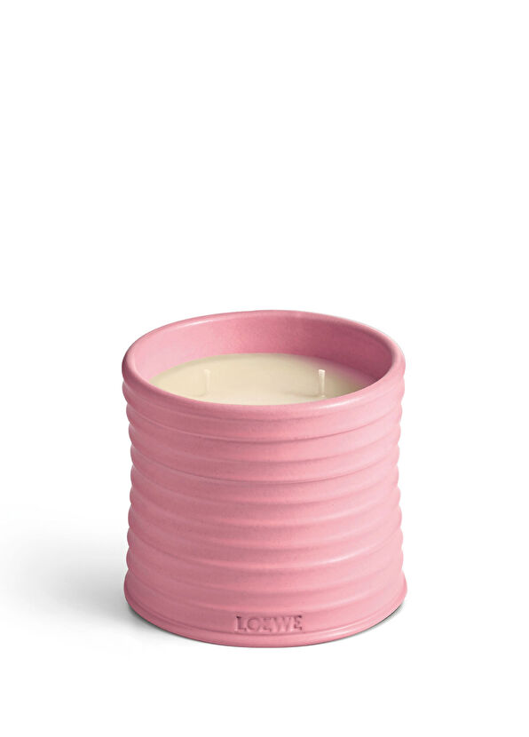 Loewe Ivy Medium 610 gr Mum - 1