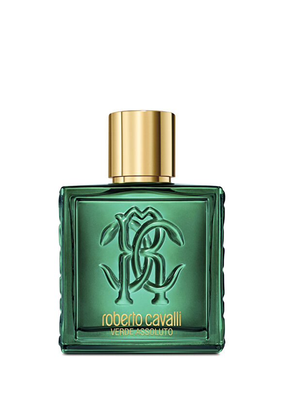 Roberto Cavalli Signature Uomo Verde Assoluto EDP 100 ML Men's Perfume - 1